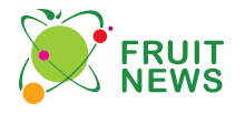 FruitNews