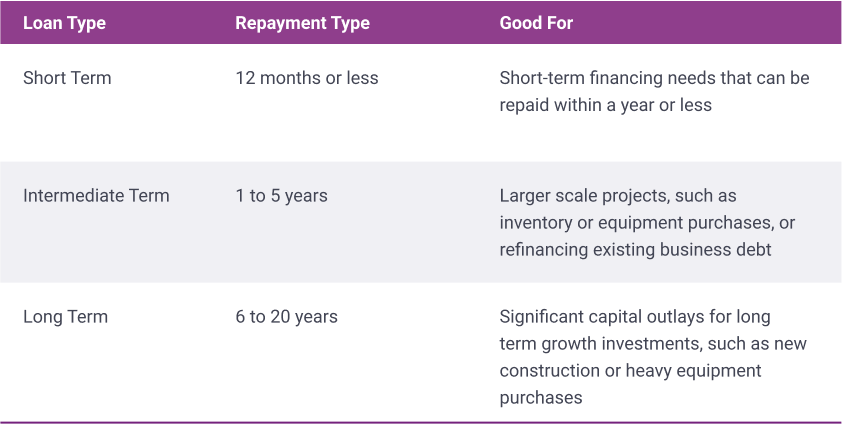 types of small business term loans