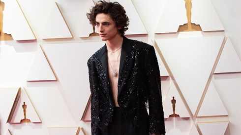 Timothee Chalamet 2022 Oscars