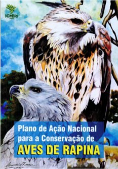 pan-aves-de-rapina-capa.jpg