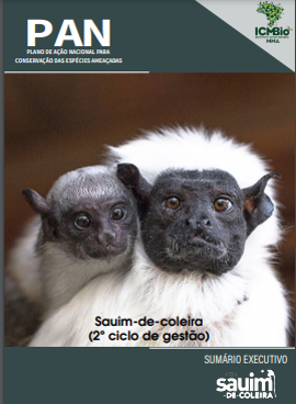 pan-sauim-de-coleira-capa-2.jpg.png