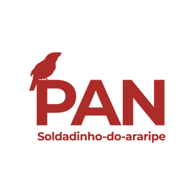 pan-soldadinho-do-araripe-capa-2.png