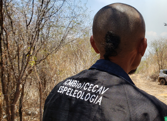 Conheça e Proteja as cavernas Brasileiras