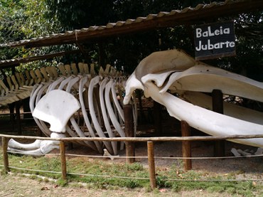 Base do TAMAR/ICMBio em Regência, Linhares-ES