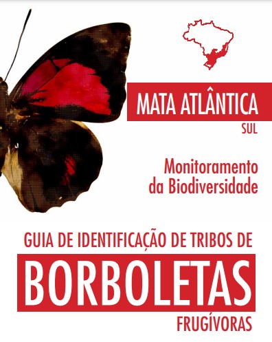 Imagem parcial de uma borboleta e o mapa do Brasil com a parte sul do bioma mata atlântica em destaque