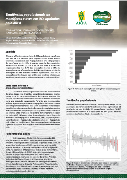 texto corrido e um gráfico de tendência.