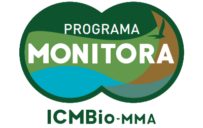 logo em formato de binóculo nas cores azul, verde e marrom e ao centro escrito em letras  garrafais Programa Monitora, com destaque para Monitora