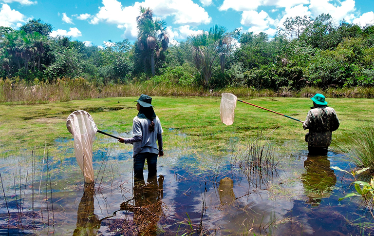 Pesquisa de campo dentro do Parque Nacional - novas descobertas - foto: Marcos Magalhães/IFMG