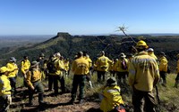 FIRE-ADAPT: Brasil recebe especialistas globais para discutir manejo integrado do fogo