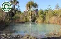 Floresta Nacional de Brasília faz 25 anos e comemora 100 mil visitantes por ano