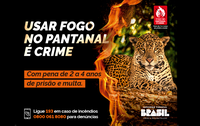 Governo Federal lança campanha “Fogo no Pantanal é Crime”