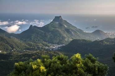 Parque Nacional da Tijuca - André Dib