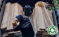 Instituto Chico Mendes apreende carga de madeira serrada no Parque Nacional de Anavilhanas
