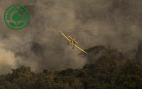 Instituto Chico Mendes e Ibama enviam quatro aviões para reforçar combate a incêndios florestais no Pantanal