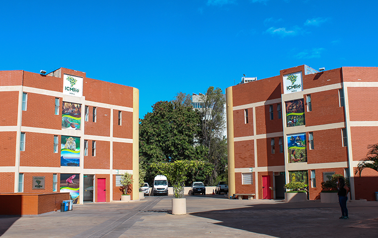 Durante evento de aniversário de 17 anos do Instituto foram anunciadas aquisições, construções e reformas de sedes pelo país