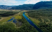 No Dia da Mata Atlântica, conheça as produções da TV Brasil que destacam espécies e cenários do bioma