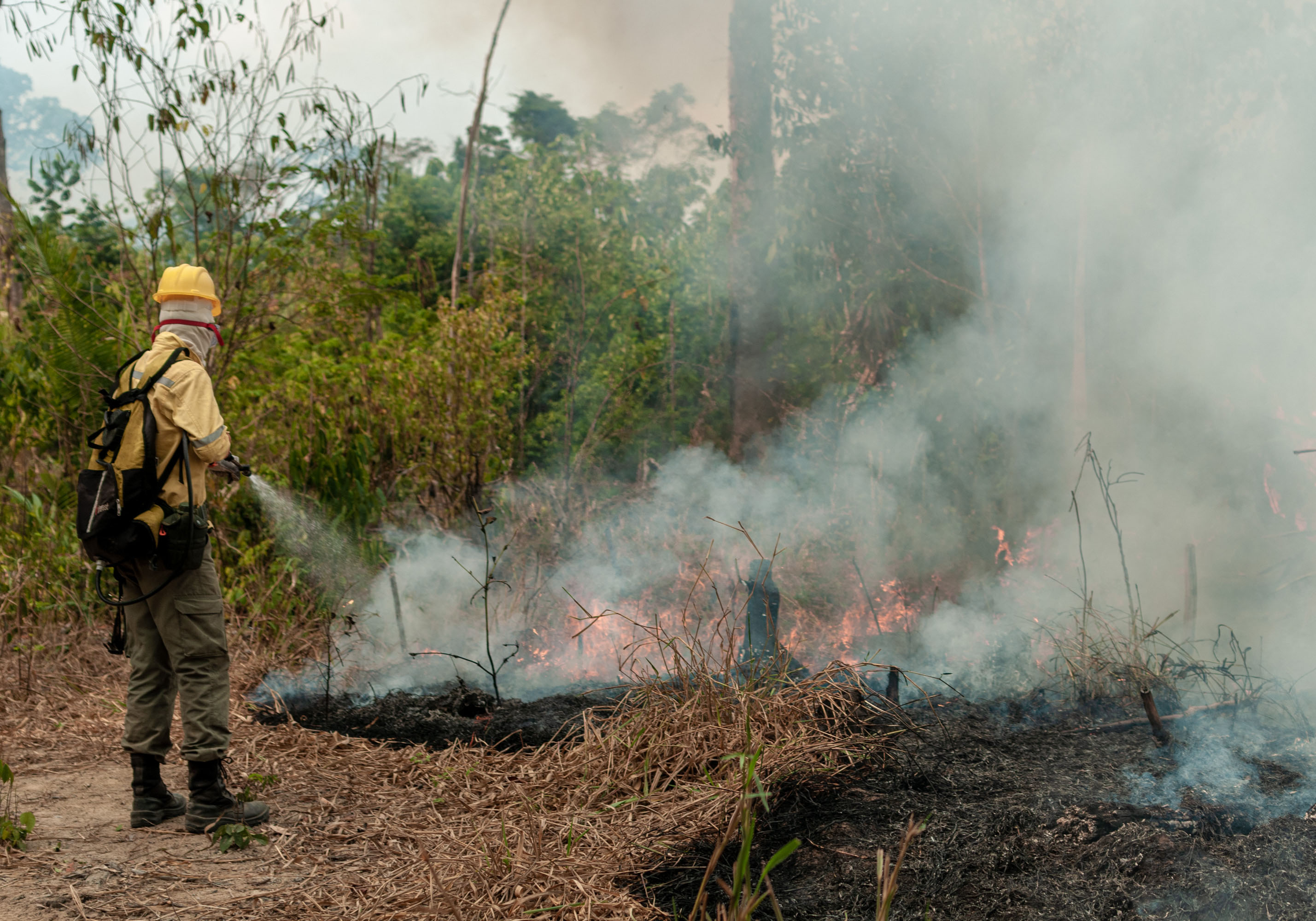 Mudança do clima antecipou e agrava a temporada de incêndios na região amazônica, assim como ocorreu no Pantanal