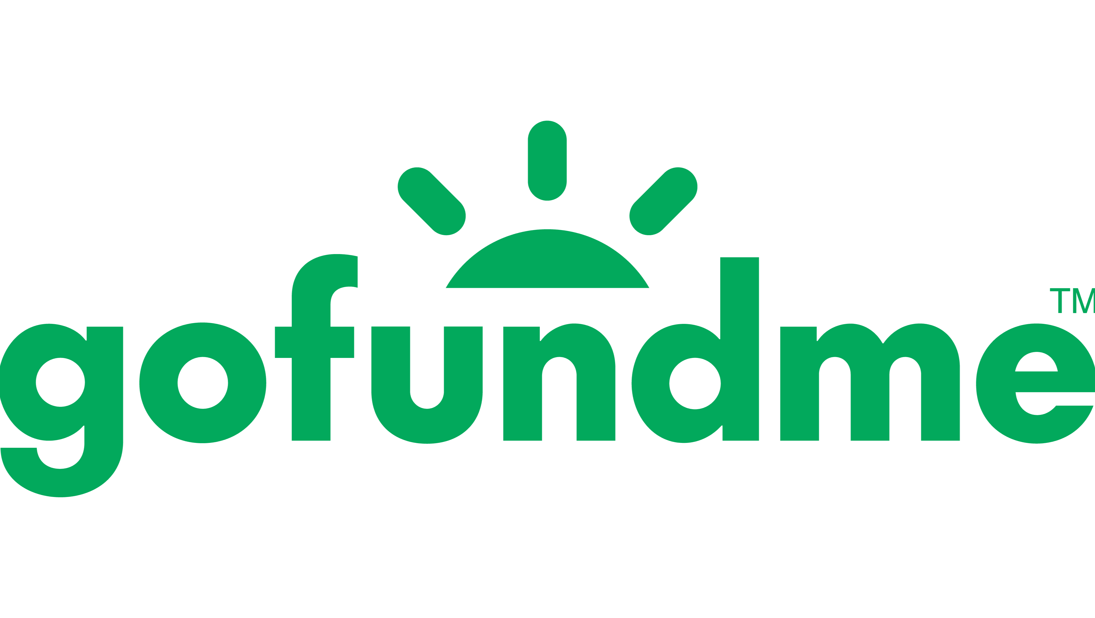 Logo: Gofundme