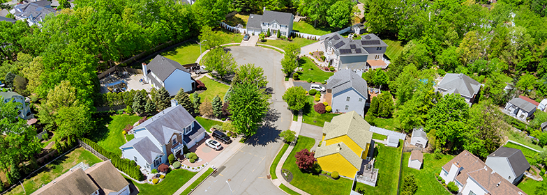 Homes in a neighborhood