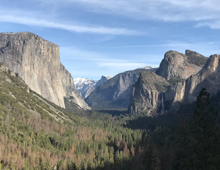 Stunning mountainous landscaping surrounded by hundreds of towering green pine trees