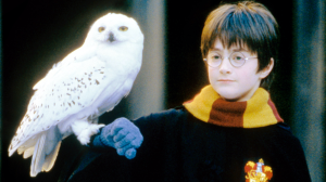 Daniel Radcliffe, "Harry Potter and the Sorcerer's Stone"