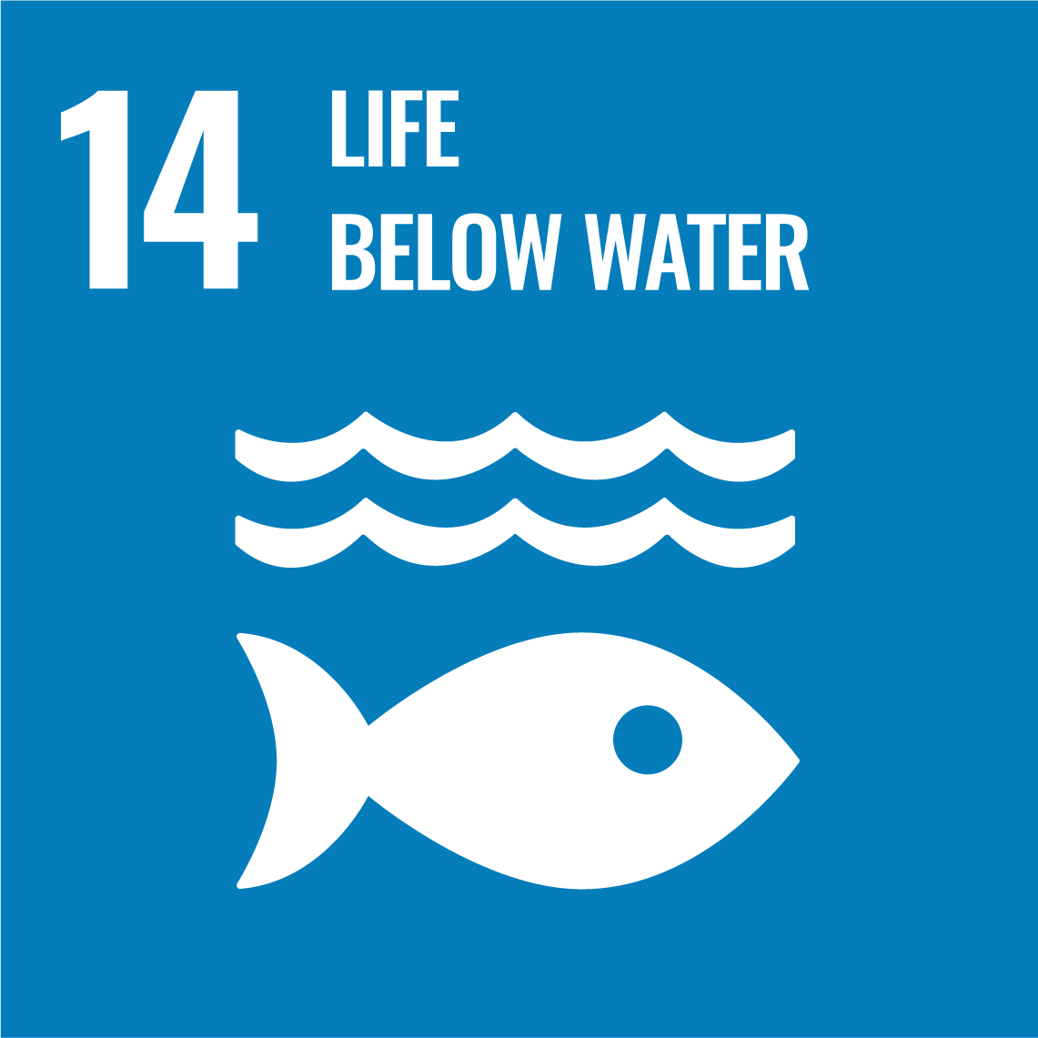 Sustainable Development Goals 14 - Life below water