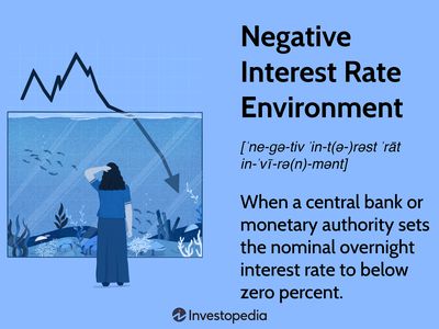 Negative Interest Rate Environment