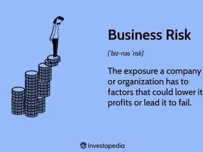 Business Risk