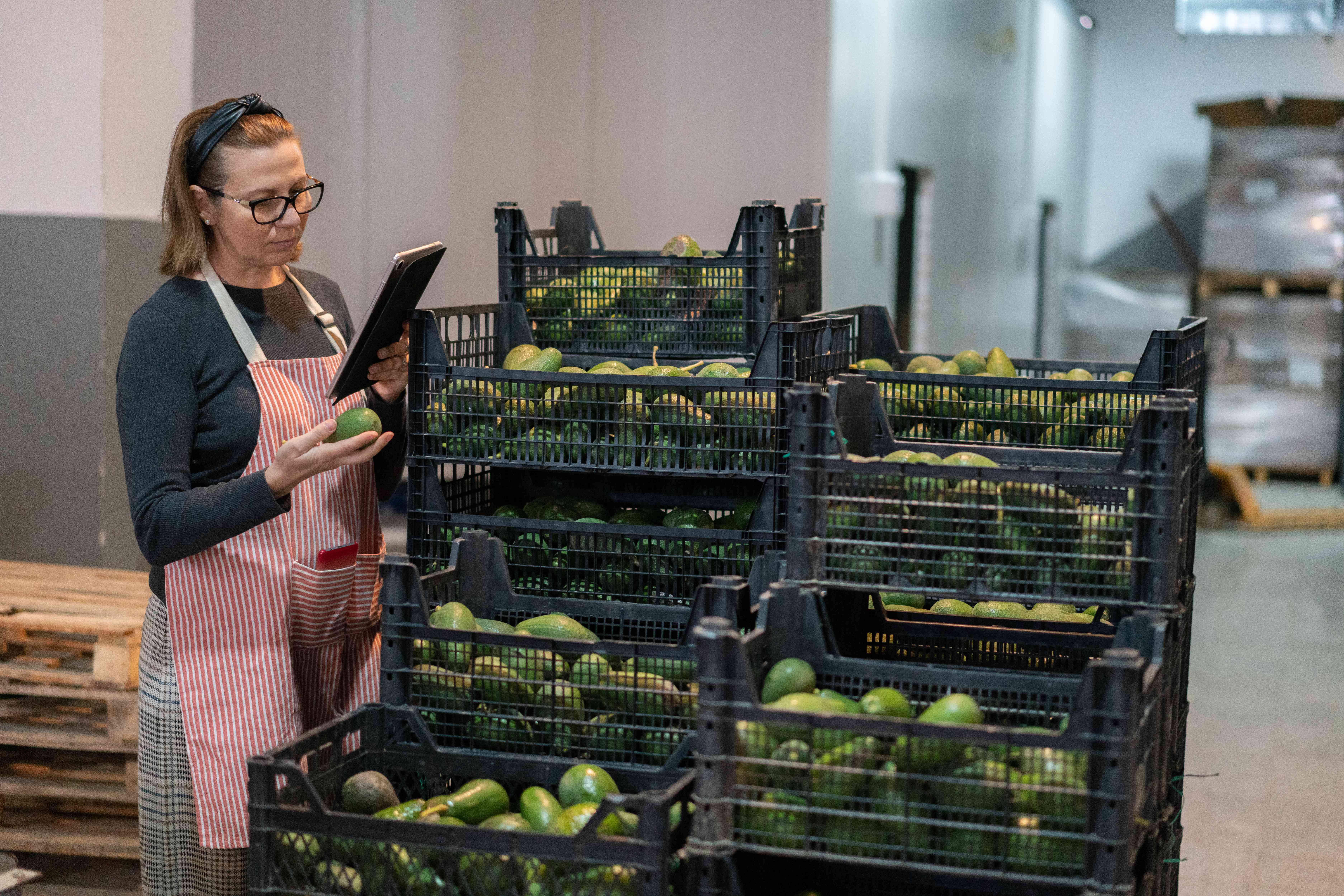 A salesperson in a produce warehouse stands near crates of fresh avocados and uses a tablet to check the current market price.