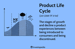 Product Life Cycle