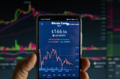 A smartphone displays the Bitcoin Cash market value on the stock exchange (Dec. 2018)