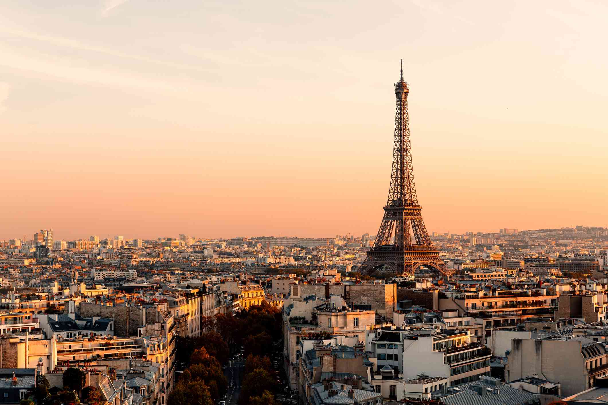 Aerial view of Paris with the Eiffel Tower.