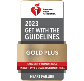 2023 American Heart Association Get with the Guidelines Stroke Badge