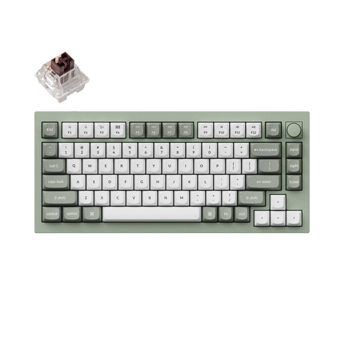 Keychron Q1 QMK VIA custom mechanical keyboard 75 percent full aluminum knob Mac Windows RGB backlight hot swappable Special Edition green Keychron K Pro brown switch