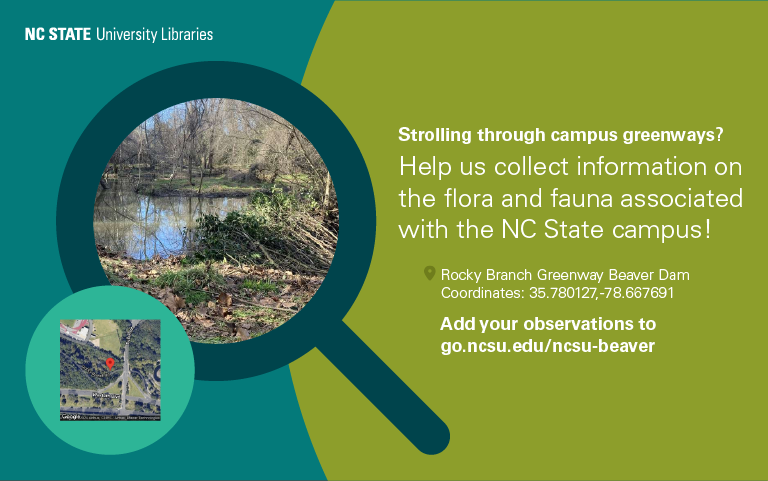 Strolling through campus greenways? Help us collect information on the flora and fauna associated with the NC State campus!