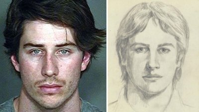 arie luyendyk jr, golden state killer, fbi