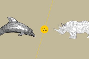 Polygonal Mesh vs NURBS