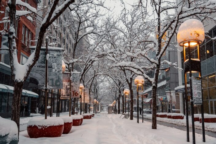 camino y edificios cubiertos de nieve