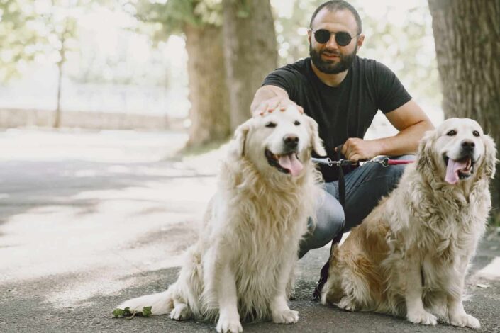 Hombre con camiseta negra y jeans azules sentado junto a perros blancos