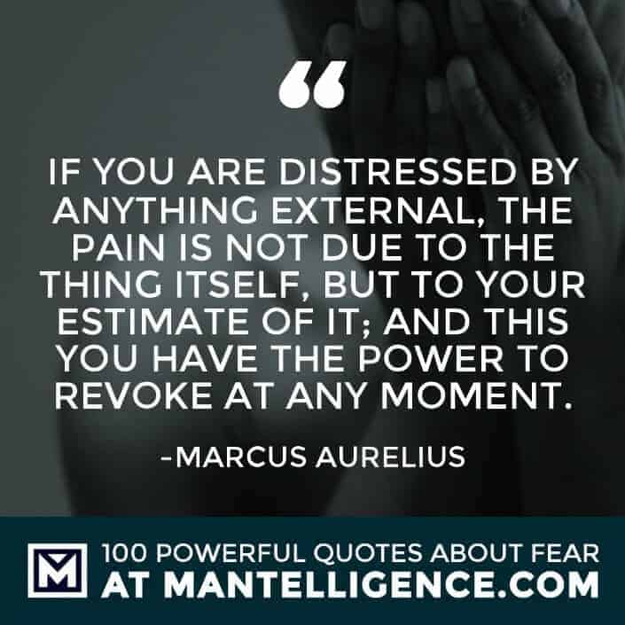 fear quotes #56 - If you are distressed by anything external, the pain is not due to the thing itself, but to your estimate of it; and this you have the power to revoke at any moment.