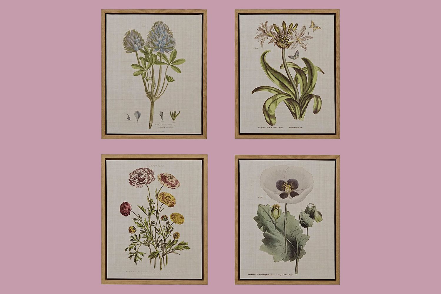 Martha Stewart Herbal Botany Wall Art Living Room Decor - Floral Linen Canvas