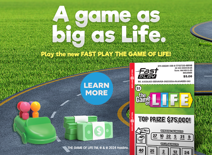 Play the new FAST PLAY THE GAME OF LIFE! Learn More