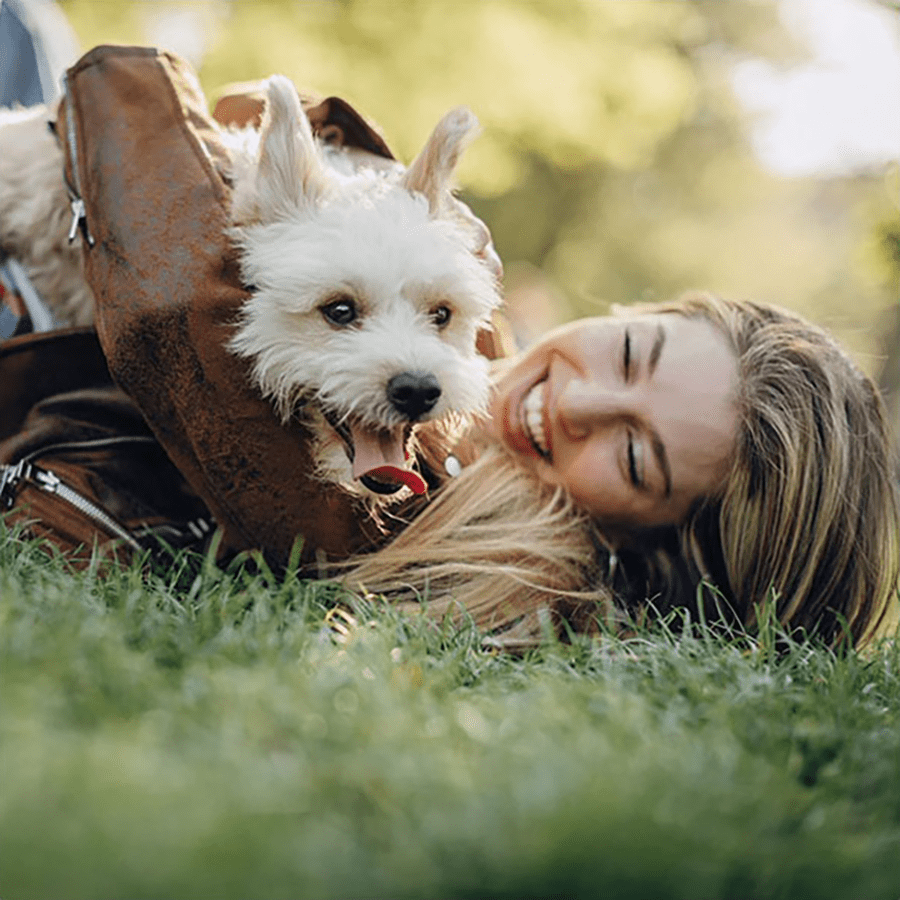 caring for the animals