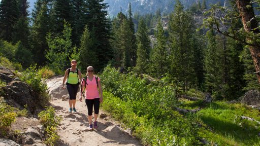 Two hikers at a national park