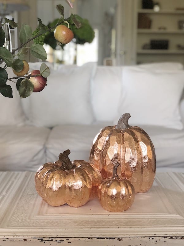 copper leaf pumpkins