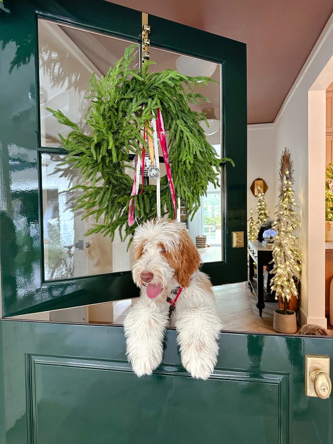 green door with dog