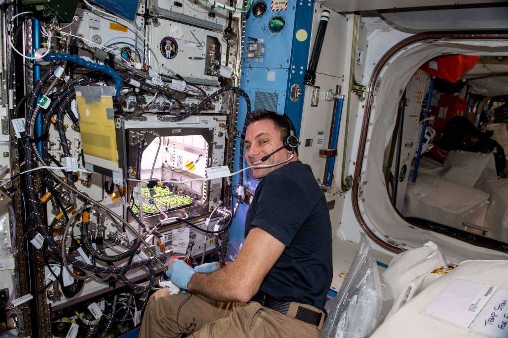 iss068e042034 (Jan. 26, 2023) --- NASA astronaut and Expedition 68 Flight Engineer Josh Cassada harvests thale cress plants housed inside the Advanced Plant Habitat for stowage and analysis on Earth. The space botany study takes place inside the International Space Station's Kibo laboratory module and studies genetic changes that take place in plants growing in microgravity