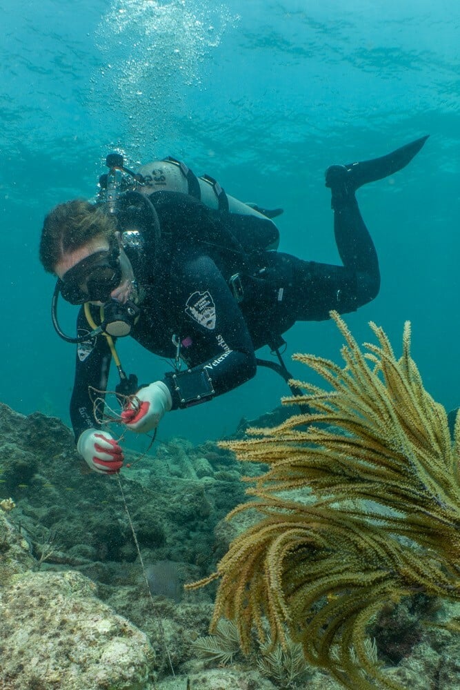 Sea Sister scuba diving in Biscayne