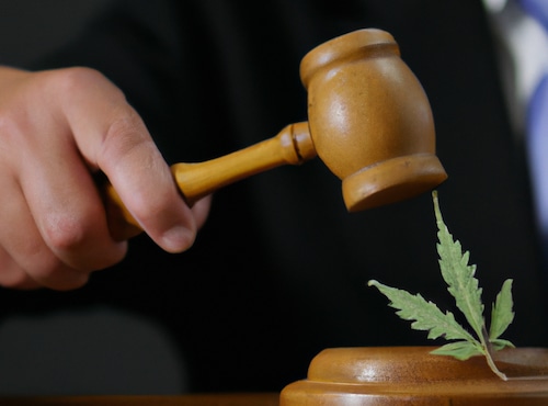 Judge gavel courtroom marijuana