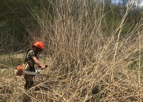 DEC forest ranger report for week of May 5-12, 2024